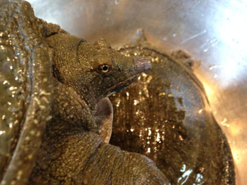 サンプルイメージ