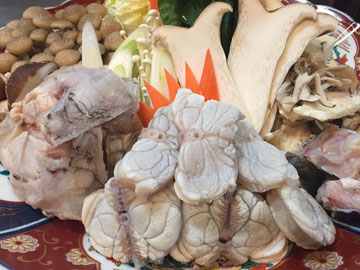 サンプルイメージ