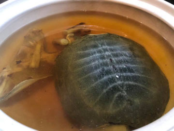 サンプルイメージ